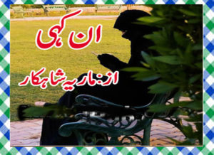 Read more about the article An Kahi Urdu Novel By Maria Shahkar