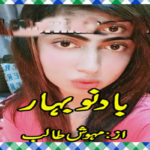 Baad E Nou Bahar Urdu Novel By Mahwish Talib
