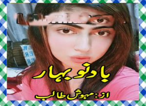 Read more about the article Baad E Nou Bahar Urdu Novel By Mahwish Talib