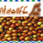 Ber Khane Ke Fayde in Urdu