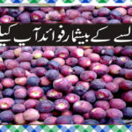 Tarbooz Khane Ke Fayde in Urdu