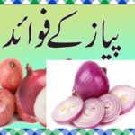 Pyaz Khane Ke Fayde in Urdu