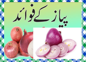 Read more about the article Pyaz Khane Ke Fayde in Urdu