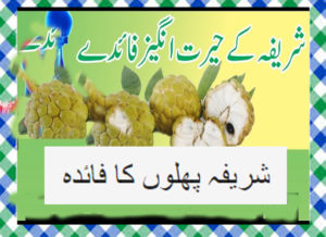 Read more about the article Sharifa fruit benefits In Urdu