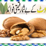 Chilgoza Khane Ke Fayde in Urdu