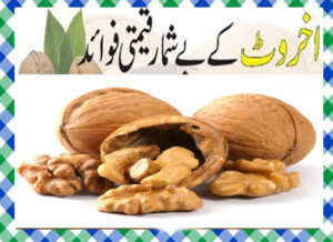 Read more about the article Walnuts Khane Ke Fayde in Urdu