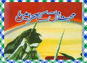 Read more about the article Mohabbat Dil Ke Sehraa Mein Urdu Novel 03 by Shazia Mustafa