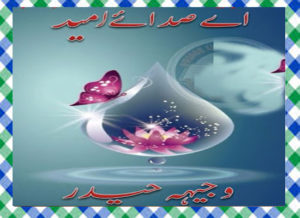 Read more about the article Aey sadaey umeed Complete Urdu Novel by Wajhia Haider