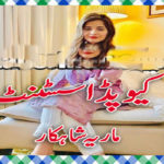 Cupid Assistant Urdu Novel By Maria Shahkar Episode 10