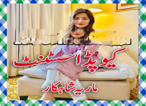 Read more about the article Cupid Assistant Urdu Novel By Maria Shahkar Episode 10