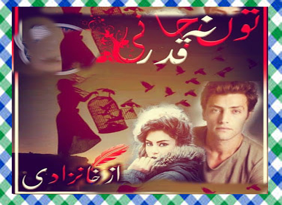 Tu qadar na jani Complete Urdu Novel by Khanzadi