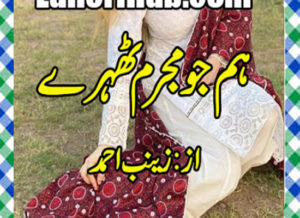 Read more about the article Hum Jo Mujrim Thehry Urdu Novel By Zainab Ahmed Part 2