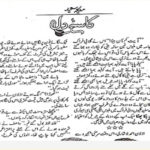Kasa E Dil Urdu Novel By Madiha Saeed