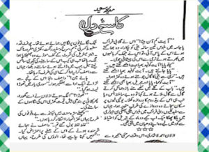 Read more about the article Kasa E Dil Urdu Novel By Madiha Saeed