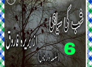 Read more about the article Shab Ki Siyahi Urdu Novel By Bareerah Farooq Episode 6