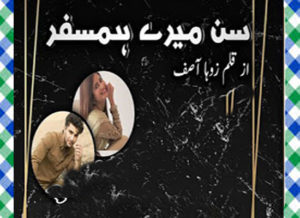 Read more about the article Sun Mere Humsafar Urdu Novel by Zoha Asif