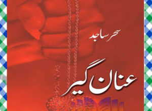 Read more about the article Anan Geer Urdu Novel By Sehar Sajid