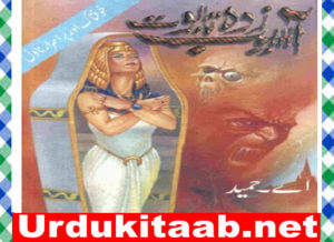 Read more about the article Asaib Zada Taboot Urdu Novel by A Hameed download