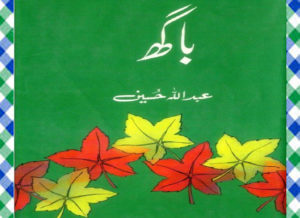 Read more about the article Bagh Urdu Novel By Abdullah Hussain