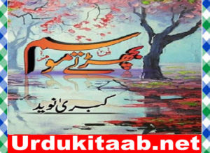 Read more about the article Bicharte Mausam Urdu Novel by Kubra Naveed download