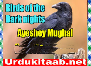 Read more about the article Birds Of The Dark Nights Urdu Novel By Ayeshey Mughal Download