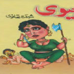 Biwi Funny Urdu Novel By Shaukat Thanvi Pdf
