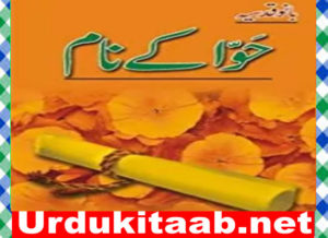 Read more about the article Hawa K Naam Urdu Novel by Bano Qudsia Download