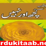Kuch or Nahi Urdu Novel by Bano Qudsia Download