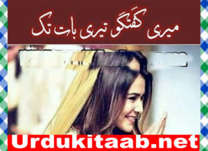 Read more about the article Meri Guftagu Teri Baat Tak Urdu Novel By Shazmin Mehdi Download