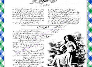 Read more about the article Meri Zindagi Hai Tu Urdu Novel by Nida Ali Abbas Download