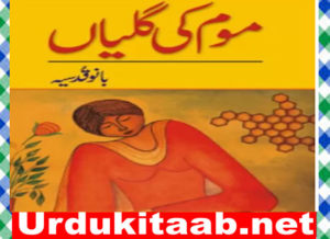 Read more about the article Mom ki Galiyan Urdu Novel by Bano Qudsia Download
