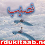 Naseeb Urdu Novel By Biya Talhat Download