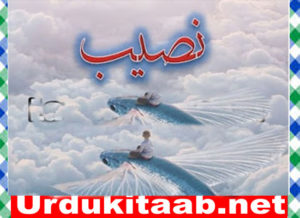 Read more about the article Naseeb Urdu Novel By Biya Talhat Download