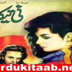 Nitika Urdu Novel By MA Rahat Complete Download