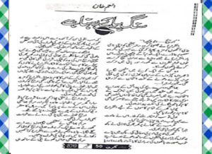 Read more about the article Sang Piya Ke Rehna Urdu Novel by Anam Khan Download