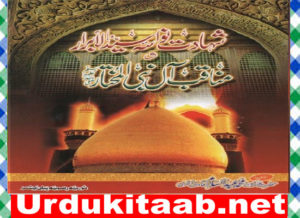 Read more about the article Shahadat Nawasa Syed Ul Abrar Islamic Book By Abdus Salam Qadri Download