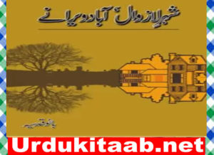 Read more about the article Sher e Lazawal Abad Weeranay Urdu Novel by Bano Qudsia Download