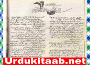 Read more about the article Tera Shabon Ka Sathi Urdu Novel By Samra Bukhari Download