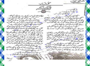 Read more about the article Zarmina Urdu Novel By Gul Arbab