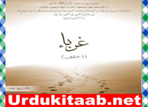 Read more about the article Ghuraba Urdu Novel By Dr Binte Islam Download