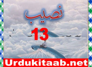 Read more about the article Naseeb Urdu Novel By Biya Talhat Part 13 Download