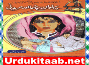 Read more about the article Palwan Patha Aur Maredni Urdu Novel by Tahir Javed Mughal Download