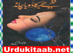 Read more about the article Tere Hijar Ka Dooba Chand Urdu Novel By Abida Narjis Download