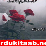 Tumhary Bagher Hum Adhoory Urdu Novel By Mehrmah Shah Download