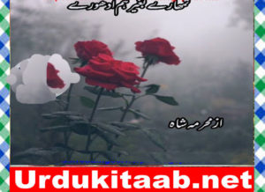 Read more about the article Tumhary Bagher Hum Adhoory Urdu Novel By Mehrmah Shah Download