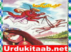 Read more about the article Umro Aur Uran Gadha Urdu Book by Mazhar Kaleem M.A