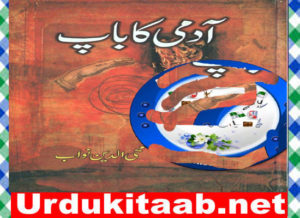 Read more about the article Admi ka Bap Urdu Novel by Mohiuddin Nawab Download