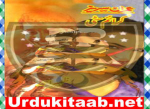 Read more about the article Crime City Urdu Novel by Zaheer Ahmed Download
