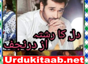 Read more about the article Dil Ka Rishta Urdu Novel By Durr E Najaf Download