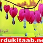Ghafil Mohabbat Urdu Novel By Nazia Rajput Download